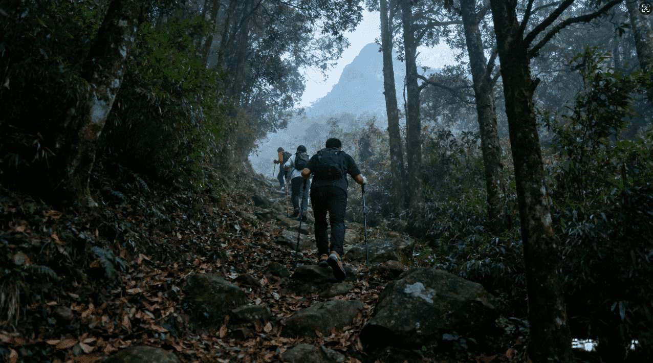 芒果加速器帮助游戏玩家提升网络稳定性的方法
